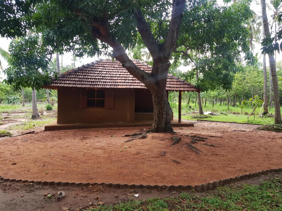 Eco Village Kalundewa Dambulla Exterior photo